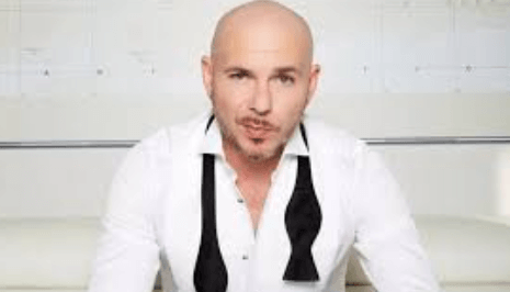 Pitbull Net Worth 2024