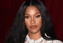 Joseline Hernandez Net Worth 2024