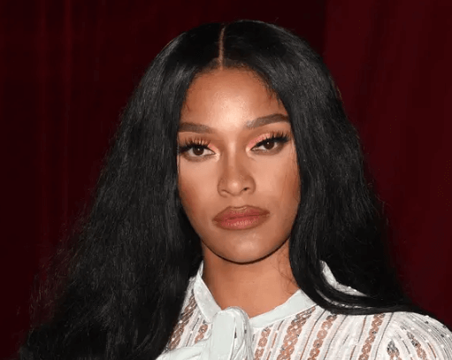 Joseline Hernandez Net Worth 2024