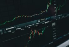 stable stocks for growth